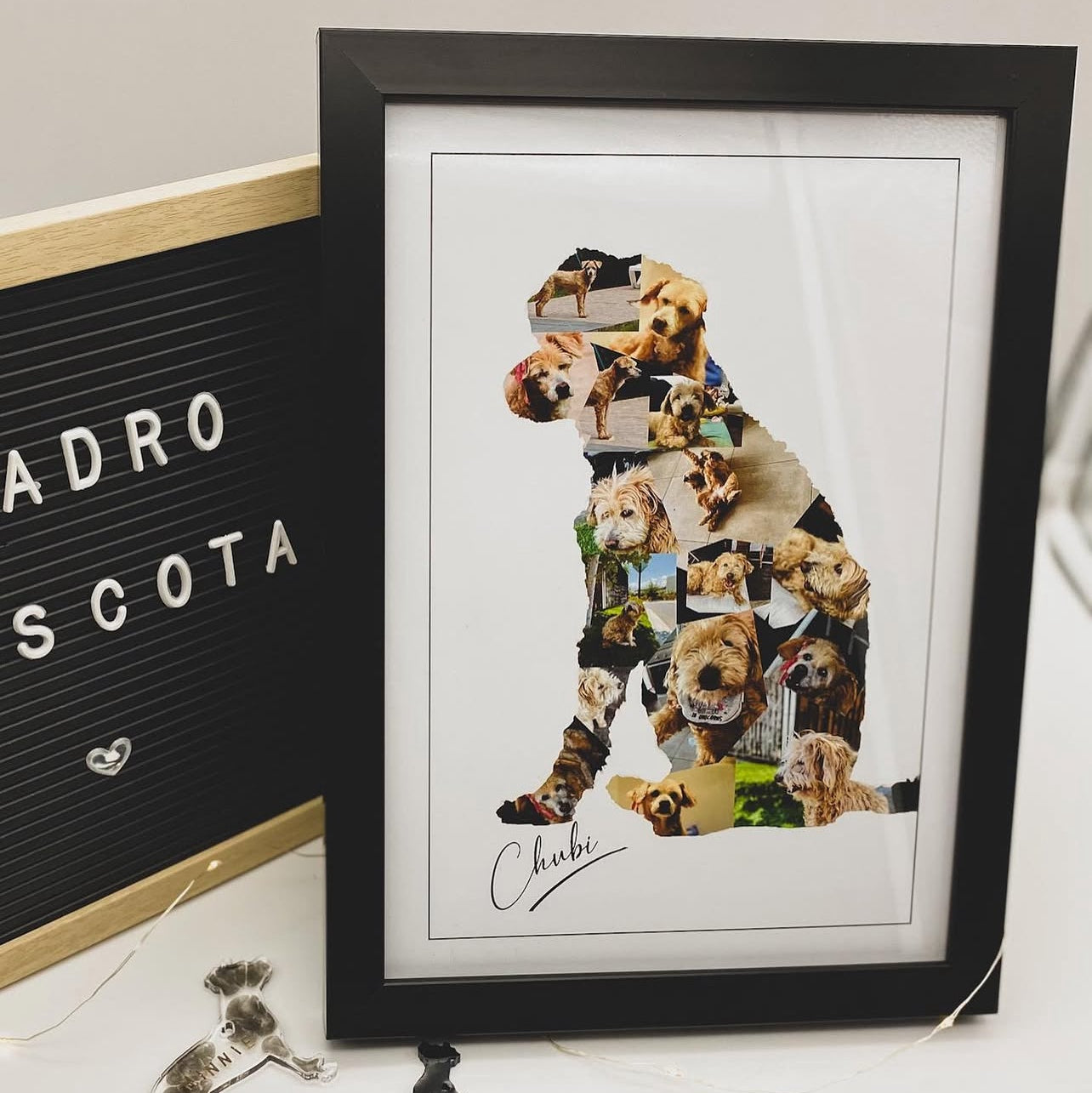 Cuadro Mascota